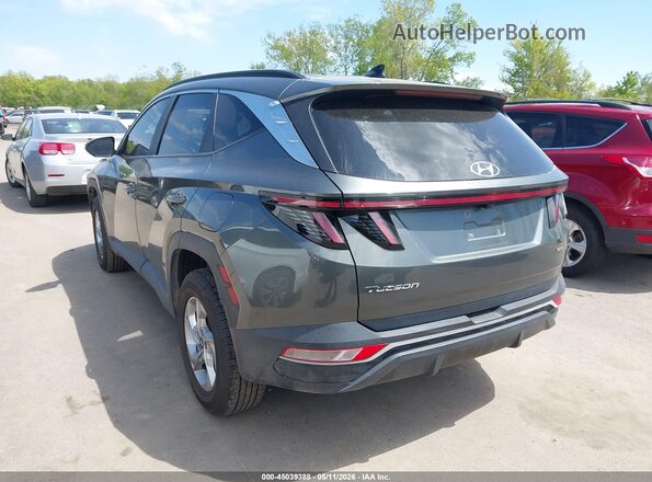 5NMJBCAE9PH209645 2023 HYUNDAI TUCSON Серый Задняя левая четверть