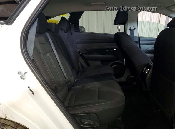 5NMJBCDE3TH621744 2026 HYUNDAI TUCSON Белый Вид задней части салона