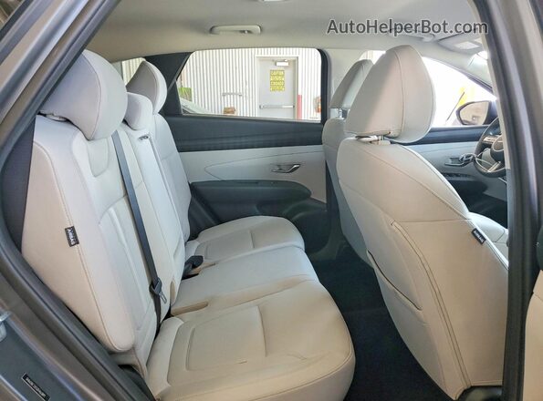 5NMJBCDE5SH463891 2025 HYUNDAI TUCSON Серый Вид задней части салона