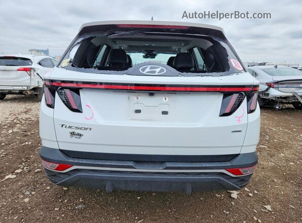5NMJCCAE8NH153210 2022 HYUNDAI TUCSON Белый Вид сзади