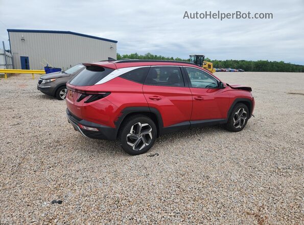 5NMJECAE0PH200923 2023 HYUNDAI TUCSON Красный Задняя правая четверть