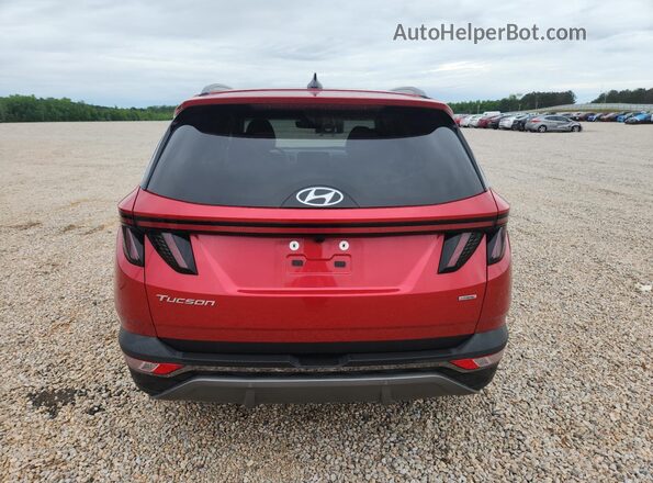5NMJECAE0PH200923 2023 HYUNDAI TUCSON Красный Вид сзади