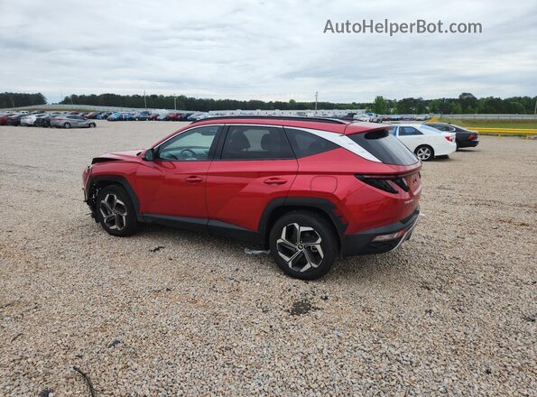 5NMJECAE0PH200923 2023 HYUNDAI TUCSON Красный Задняя левая четверть