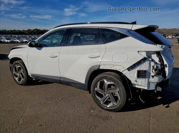 5NMJECAE9PH216876 2023 HYUNDAI TUCSON Белый Задняя левая четверть