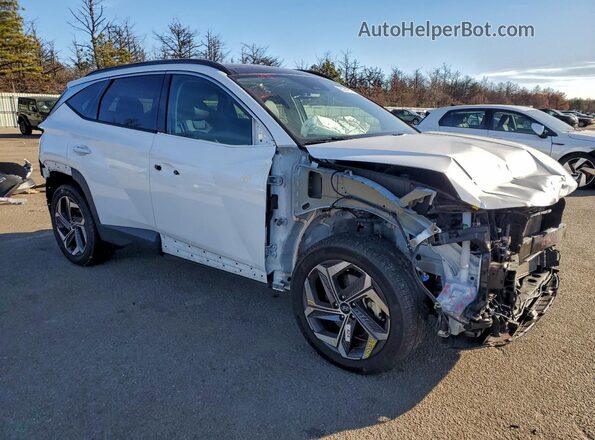 5NMJECAE9PH216876 2023 HYUNDAI TUCSON Белый Передняя правая четверть