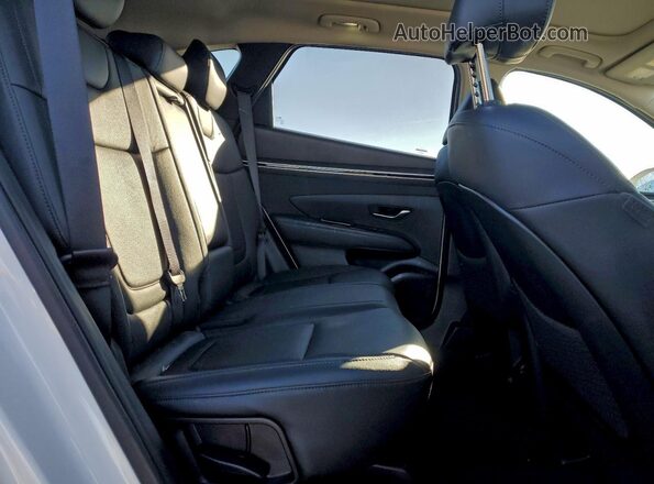 5NMJECAE9PH216876 2023 HYUNDAI TUCSON Белый Вид задней части салона