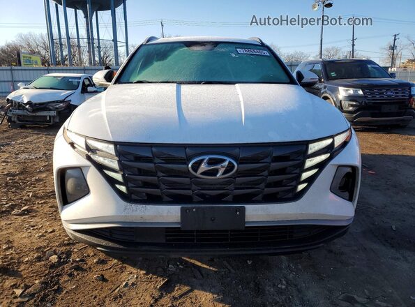 5NMJFCAE1PH274767 2023 HYUNDAI TUCSON Белый Вид спереди