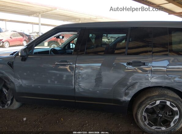 5NMP14GL9RH028587 2024 HYUNDAI SANTA FE Серый 