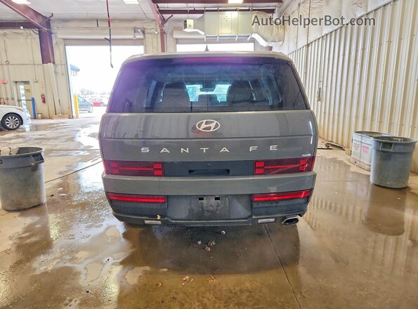 5NMP1DGL8RH036423 2024 HYUNDAI SANTA Серый Вид сзади