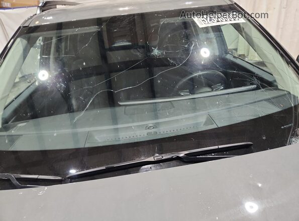 5NMP24GL0TH164076 2026 HYUNDAI SANTA Gray Панорамний вид салону 360°