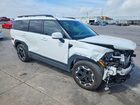 2025 Hyundai Santa Fe Sel White vin: 5NMP24GL1SH104029