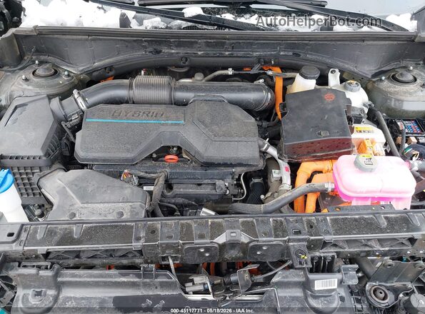5NMP2DG11SH048009 2025 HYUNDAI SANTA FE HYBRID Green Вид ззаду