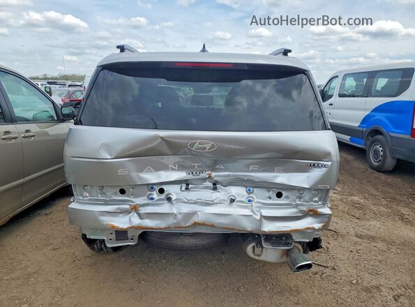 5NMP2DGL6RH020993 2024 HYUNDAI SANTA Silver Widok z tyłu