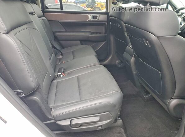 5NMP2DGLXTH167339 2026 HYUNDAI SANTA Белый Вид задней части салона