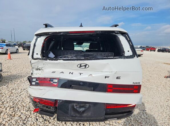 5NMP54G10SH066332 2025 HYUNDAI SANTA Белый Вид сзади