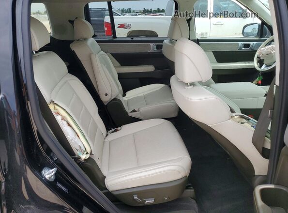 5NMP54GLXSH079557 2025 HYUNDAI SANTA FE CALLIGRAPHY Black Սալոնի հետևի տեսք