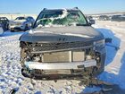 2024 Hyundai Santa Fe Calligraphy Угольный vin: 5NMP5DG16RH013533