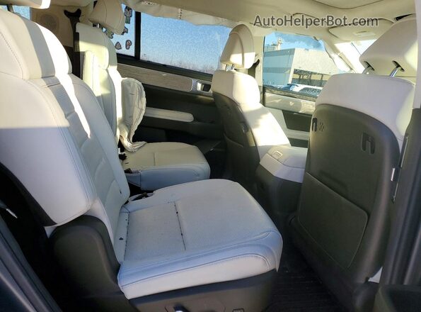 5NMP5DG16RH013533 2024 HYUNDAI SANTA Угольный Вид задней части салона