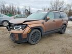 2024 Hyundai Santa Fe Calligraphy Brown vin: 5NMP5DGL0RH058212