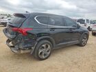 2023 Hyundai Santa Fe Se Черный vin: 5NMS14AJ2PH564800