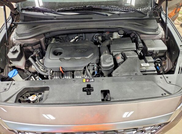5NMS2CAD0KH110636 2019 HYUNDAI SANTA Желто-коричневый Вид задней части салона