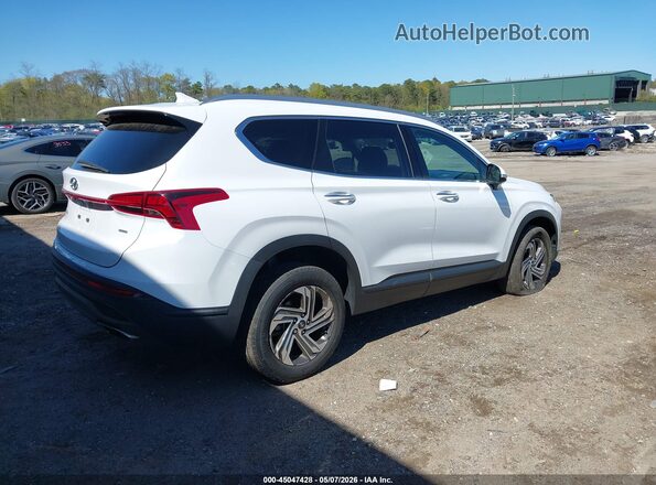 5NMS2DAJ0PH489818 2023 HYUNDAI SANTA FE Белый Задняя правая четверть