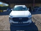 2023 Hyundai Santa Fe Sel Белый vin: 5NMS2DAJ0PH489818