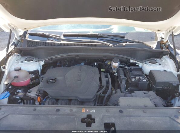 5NMS2DAJ0PH489818 2023 HYUNDAI SANTA FE Белый Вид сзади