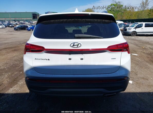 5NMS2DAJ0PH489818 2023 HYUNDAI SANTA FE Белый 