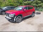 2021 Hyundai Santa Fe Sel Красный vin: 5NMS2DAJ1MH359896