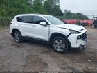2023 Hyundai Santa Fe Sel White vin: 5NMS2DAJ7PH551201