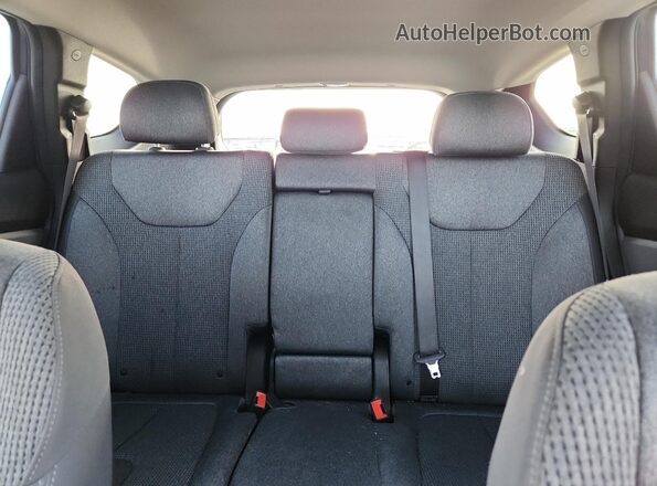 5NMS33AD9LH299401 2020 HYUNDAI SANTA Синий Вид задних сидений