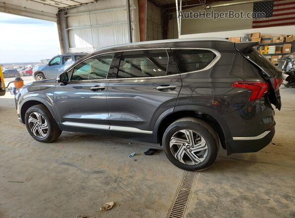 5NMS3DAJ0PH610330 2023 HYUNDAI SANTA Серый Задняя левая четверть