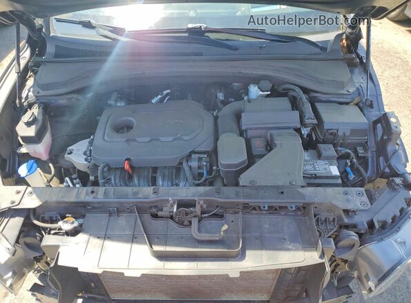 5NMS5CAD7LH301494 2020 HYUNDAI SANTA Черный Вид подкапотного пространства