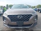 2020 Hyundai Santa Fe Limited Коричневый vin: 5NMS5CADXLH263694