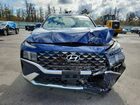 2023 Hyundai Santa Fe Calligraphy Синий vin: 5NMS5DAL3PH523842