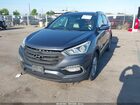 2017 Hyundai Santa Fe Sport 2.4l Серый vin: 5NMZUDLBXHH012510