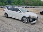 2019 Hyundai Elantra Se White vin: 5NPD74LF7KH496070