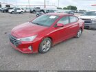 2019 Hyundai Elantra Sel Красный vin: 5NPD84LF1KH467693