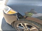 2017 Hyundai Elantra Limited Black vin: 5NPD84LF4HH068768