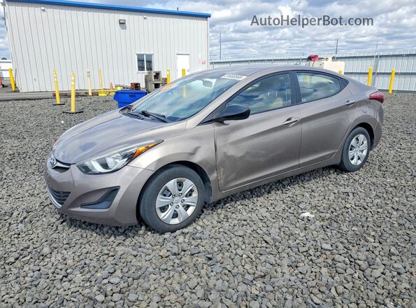 5NPDH4AE0GH686288 2016 HYUNDAI ELANTRA Tan Przód lewy