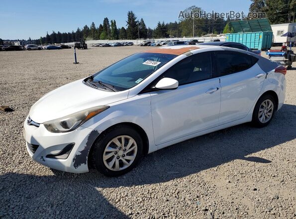 5NPDH4AE0GH776427 2016 HYUNDAI ELANTRA Белый Передняя левая четверть