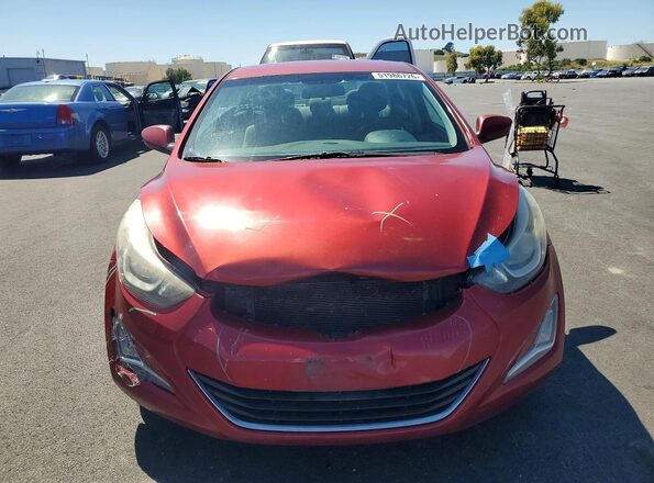 5NPDH4AE1GH748362 2016 HYUNDAI ELANTRA Бордовый Вид спереди