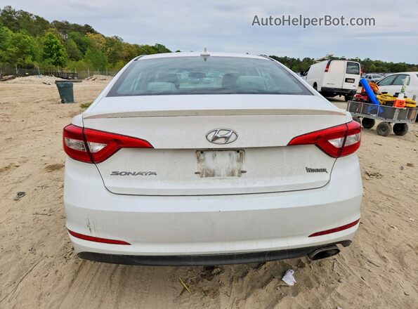 5NPE24AF0GH296323 2016 HYUNDAI SONATA White Widok z tyłu