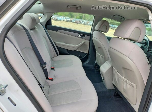 5NPE24AF0GH296323 2016 HYUNDAI SONATA White Widok tylnych siedzeń