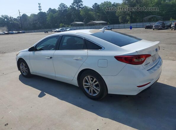 5NPE24AF0HH499164 2017 HYUNDAI SONATA Белый Задняя левая четверть