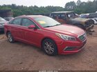 2017 Hyundai Sonata   Red vin: 5NPE24AF0HH515301