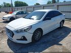 2019 Hyundai Sonata Se Белый vin: 5NPE24AF0KH804699