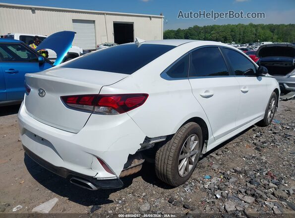 5NPE24AF0KH804699 2019 HYUNDAI SONATA Белый Вид спереди
