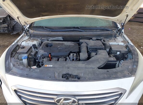 5NPE24AF1HH452323 2017 HYUNDAI SONATA Белый Вид сзади